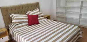 布宜诺斯艾利斯Recoleta Unique agüero apartments的一间卧室配有一张红色枕头的床