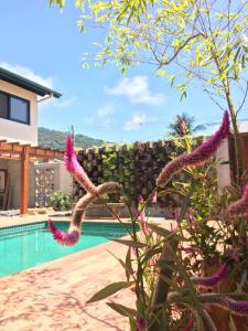 乌巴图巴Nai'a Suites的一座带游泳池和鲜花的别墅