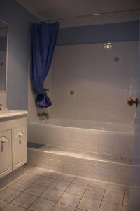 福斯特拉尼斯休闲岛酒店的带浴缸和蓝色窗帘的浴室