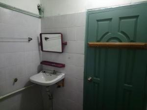 娘瑞Diamond Star Guest House的浴室设有绿门和水槽