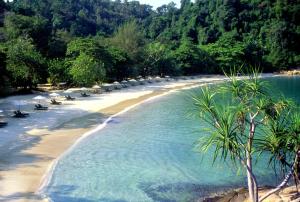 邦咯Pangkor Laut Resort - Small Luxury Hotels of the World的海滩上摆放着一堆椅子和水