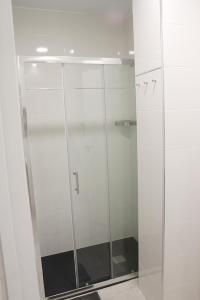 洛格罗尼奥Apartamentos Logroño Centro的浴室里设有玻璃门淋浴