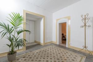 巴勒莫Qasr Home Beautiful apartment in Palermo的一条带盆栽和地毯的走廊