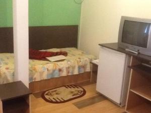 雅西Pension Garofita的一间小卧室,配有一张床和电视