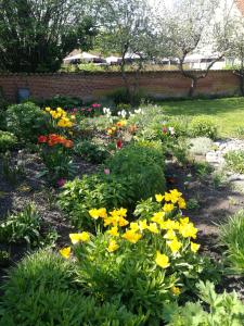 艾勒斯克宾Kjobing Manor的院子里种着五颜六色花的花园