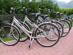 加尔达湖滨Agritur Planchenstainer的彼此相邻的自行车