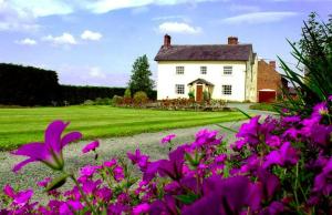 埃尔斯米尔Hordley Hall的白色房子前面有紫色的花