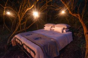 Glamping Safari Camp - Bellevue Forest Reserve平面图