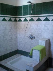 卢克索艾尔法洛兹酒店的浴室设有绿色和白色瓷砖,配有浴缸