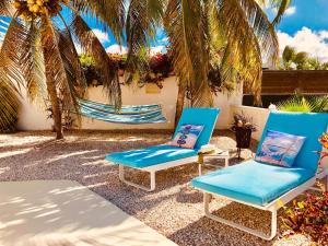 棕榈滩卡里布阿鲁巴精品酒店的两把蓝色椅子坐在棕榈树庭院