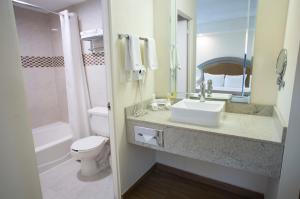蒙特雷Best Western PLUS Monterrey Colón的一间带水槽、卫生间和镜子的浴室