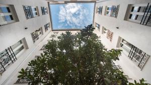 马德里Soho Boutique Congreso的树在建筑中间,有窗