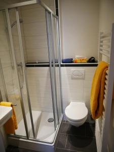 巴特德里堡尼德高旅馆的一间带卫生间和玻璃淋浴间的浴室