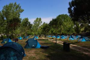 托雷德尔格拉戈普奇Campeggio Boscoverde的一群绿树成荫的蓝色帐篷