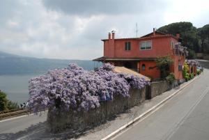 冈多菲堡卢西亚庞内里住宿加早餐旅馆的路旁有紫色花的房屋