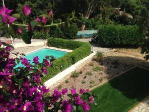 勒·雷约尔·卡纳德尔·苏尔蓝色海湾公寓的紫色花卉花园中的游泳池