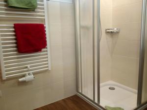 费尔兹姆斯Gsenghof的带淋浴和红色毛巾的浴室