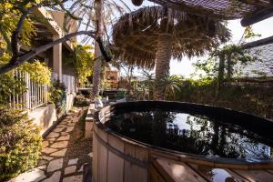 米茨佩·拉蒙沙漠之家酒店的棕榈树后院的热水浴池