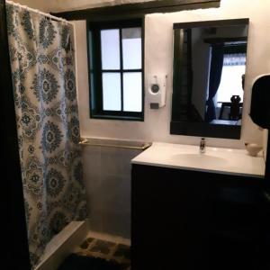波哥大Cedron Hostel的一间带水槽、镜子和淋浴的浴室