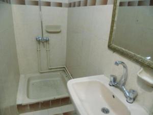 卢克索卢克索鲍勃马利酒店的一间带水槽、镜子和淋浴的浴室