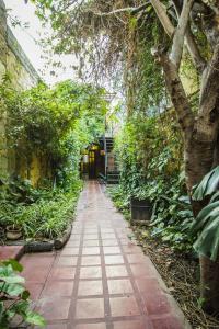 萨尔塔萨尔塔拉卡斯塔公寓的花园中种有树木和植物的走道