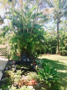 圣皮埃尔la maison du bonheur的庭院里种有棕榈树的花园