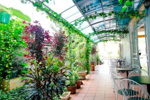 吉婆岛吉婆岛中央2号酒店 的种植植物的温室,桌子和椅子