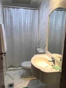 沙迦Al Majarah Residence的一间带水槽、卫生间和镜子的浴室