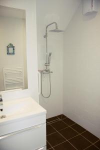 刘易斯Marshlands Apartment的带淋浴和盥洗盆的白色浴室