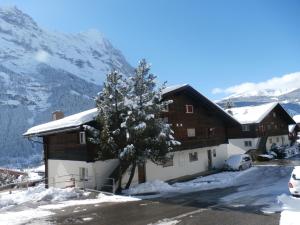 冬天的Casa Almis, Grindelwald