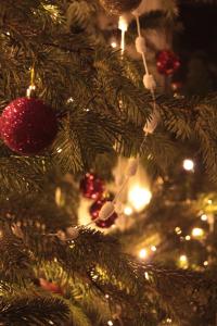 赫克瑟姆The Boe Rigg的灯火通明的圣诞树