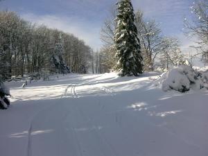 PolevskoApartmány Polevsko的一条有雪覆盖的道路,远处有一棵树