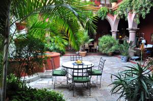 圣米格尔-德阿连德Casa de la Cuesta B&B的种有植物的庭院里摆放着桌椅
