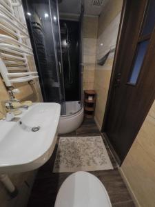 SierpnicaDziki domek的浴室配有卫生间、盥洗盆和淋浴。