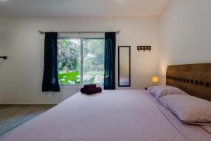 阿文图拉斯港Villas Picalu Studios & Suites的卧室设有一张大床,卧室设有大窗户