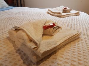 塔卡卡Chalet Karaka的床上有两条毛巾