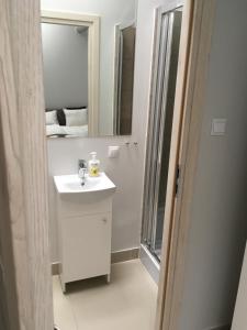 卡托维兹Mia Mia House的白色的浴室设有水槽和镜子