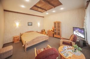 陶格夫匹尔斯狮子座的一间卧室配有一张床、一台电视和一张桌子