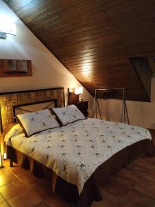 乌贝达-4-MEJOR QUE EN CASA, centro historico de Ubeda的一间卧室设有一张带木制天花板的大床