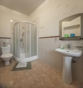 陶格夫匹尔斯狮子座的带淋浴、盥洗盆和卫生间的浴室