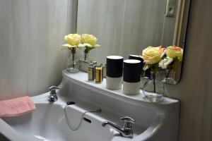 Corbion乐瑞拉斯旅馆的浴室设有镜子上鲜花水槽