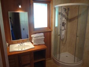 内尔图梅帕塔果尼亚马维达公寓式酒店的一间带水槽、淋浴和镜子的浴室