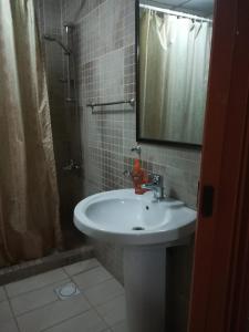 安曼约旦河酒店的一间带水槽和淋浴的浴室