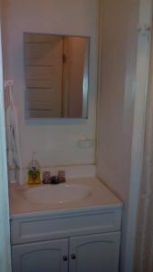 圣伊格纳西奥Don Santiago Guesthouse Downtown的一间带水槽和镜子的浴室