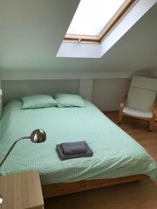 维也纳维也纳“阿尔特多瑙”湖之家度假屋的一间卧室配有一张带灯和椅子的床