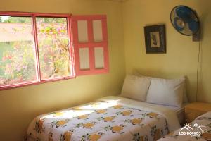 哈拉瓦科阿Los Bohios Campo Añil的一间小卧室,配有床和窗户