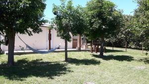 特玛斯德戴曼Casa Don Francisco的吊床挂在两棵树之间的院子