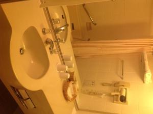 成田捷得威大飯店的一间浴室