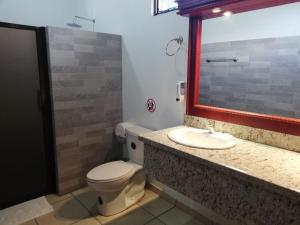 福尔图纳拉普拉德拉德尔阿雷纳尔酒店的一间带卫生间、水槽和镜子的浴室