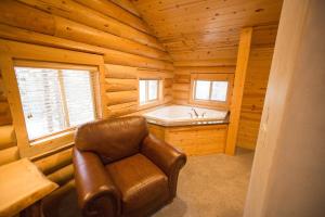 艾兰帕克松岛公园酒店的小木屋内的一个房间,配有浴缸和椅子